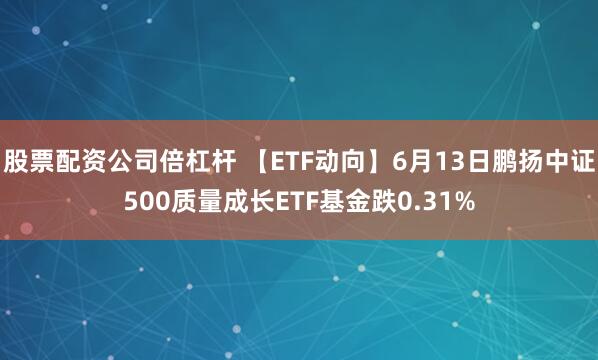 股票配资公司倍杠杆 【ETF动向】6月13日鹏扬中证500质量成长ETF基金跌0.31%