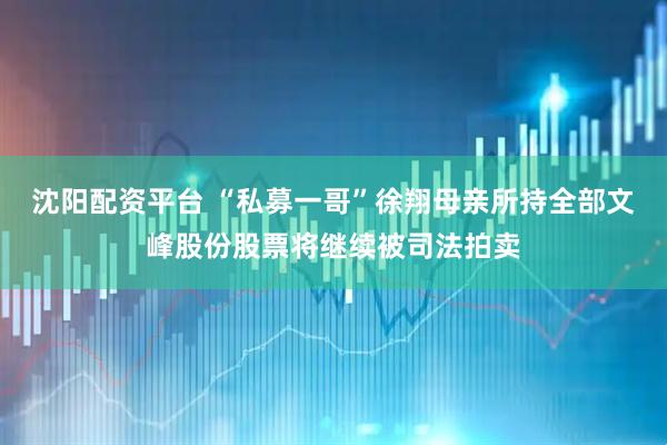 沈阳配资平台 “私募一哥”徐翔母亲所持全部文峰股份股票将继续被司法拍卖