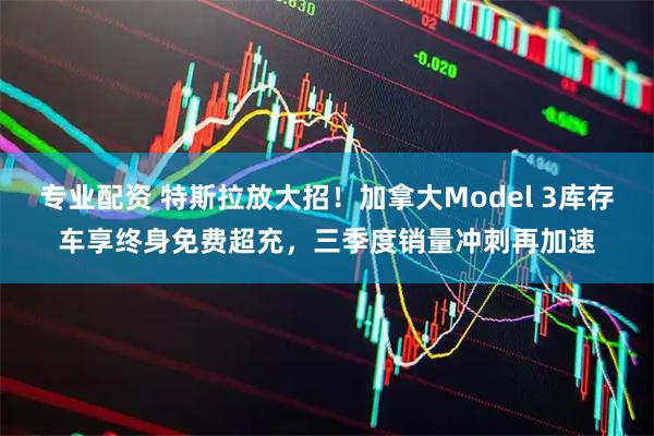 专业配资 特斯拉放大招！加拿大Model 3库存车享终身免费超充，三季度销量冲刺再加速