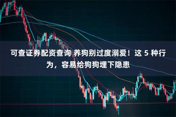 可查证券配资查询 养狗别过度溺爱！这 5 种行为，容易给狗狗埋下隐患